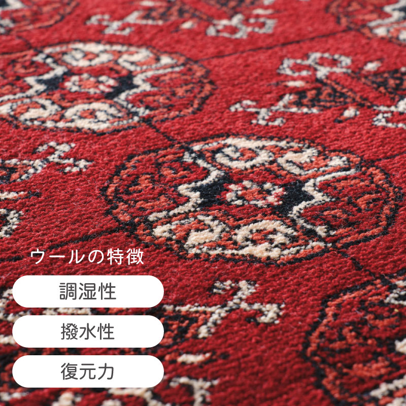 シュックラグ