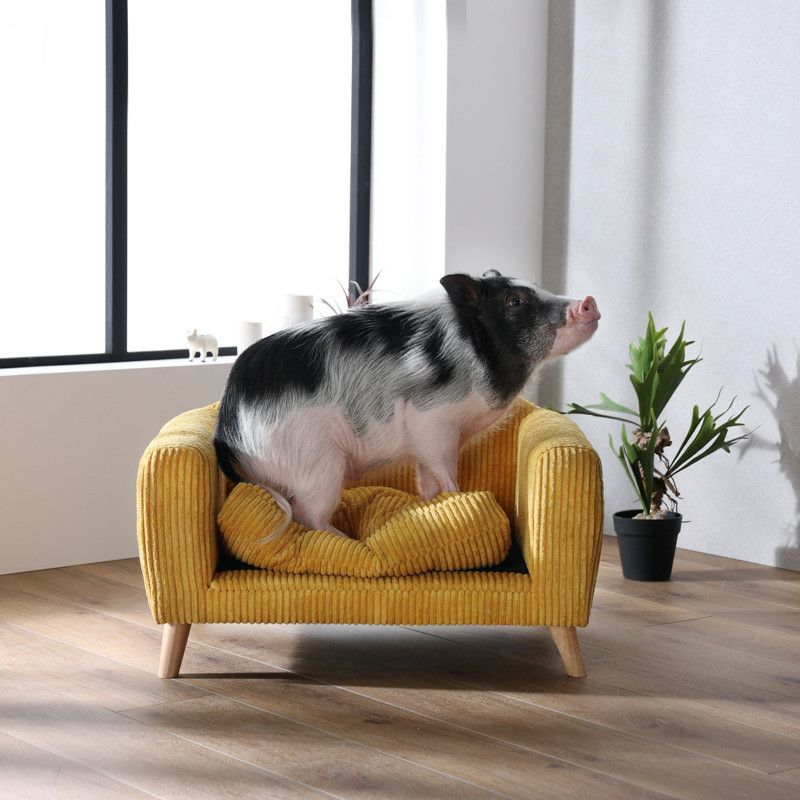 犬用ソファー 0_700_72.jpg