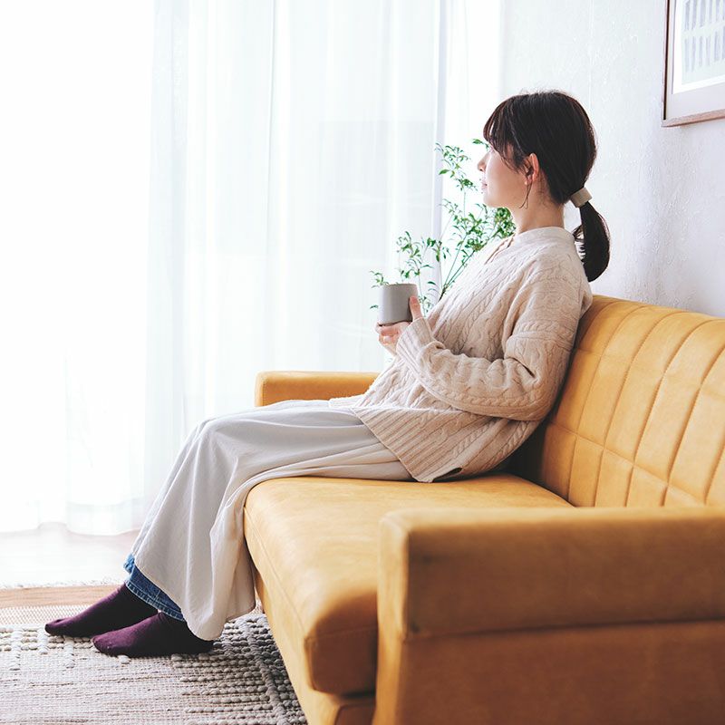 RADY（レディ）ソファ｜2.5人掛け｜幅165cm ｜ダブルデイ